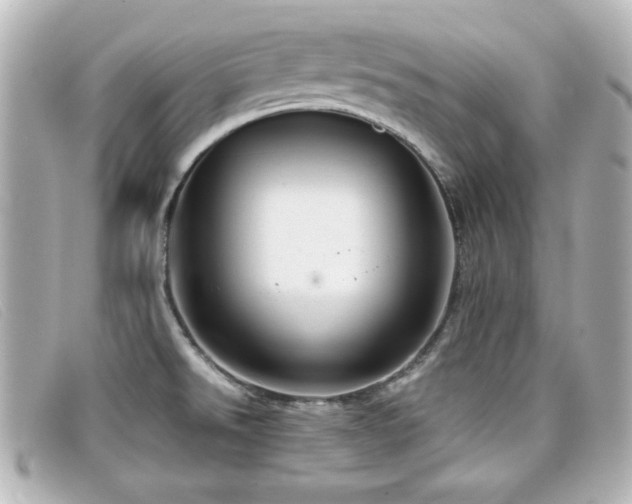 X0000099431526200805091239