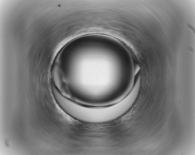 X0000099431527200805091239