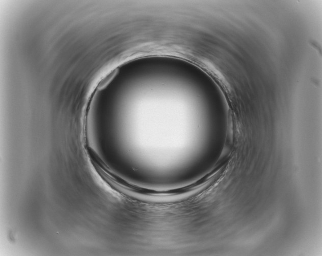X0000099431528200805091239