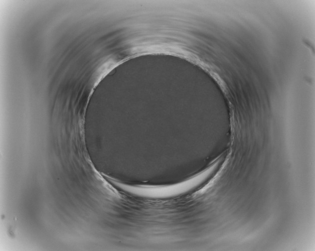 X0000099431529200805091239