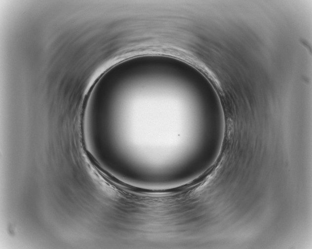 X0000099431530200805091239