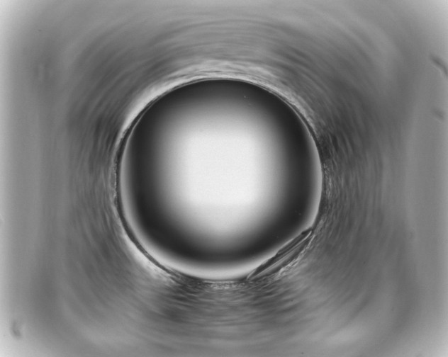 X0000099431531200805091239