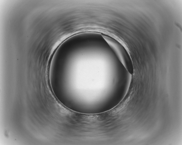 X0000099431533200805091239