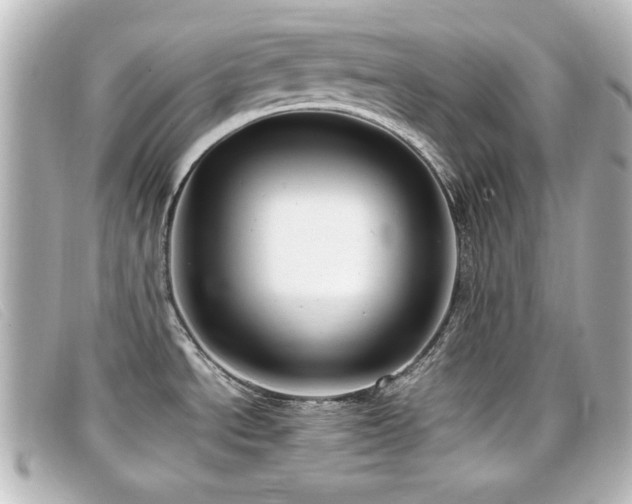 X0000099431534200805091239