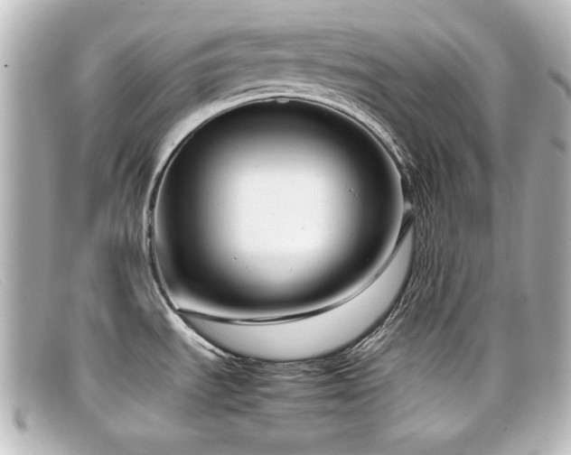 X0000099431535200805091239