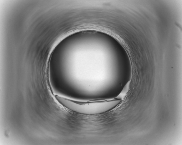 X0000099431536200805091239