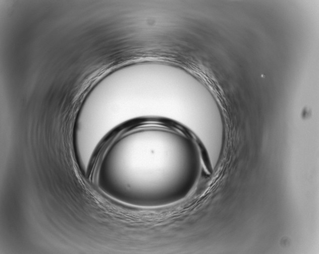 X0000099430001200805161121
