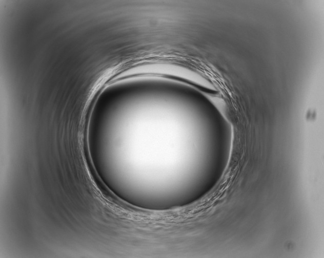 X0000099430003200805161121