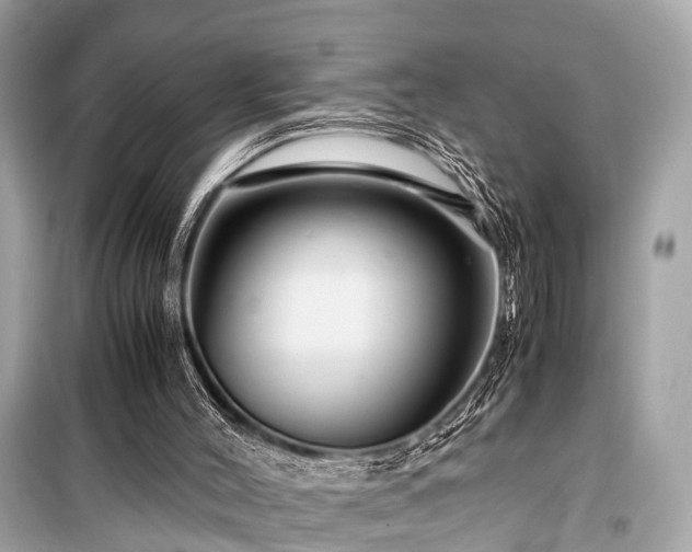 X0000099430004200805161121