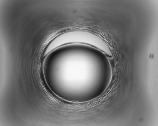 X0000099430005200805161121