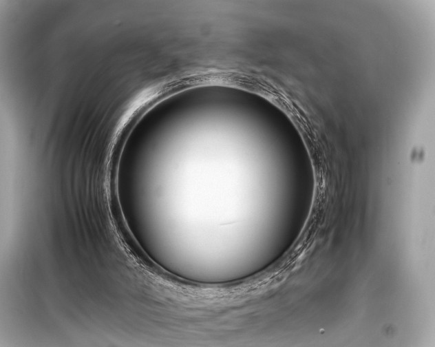 X0000099430006200805161121