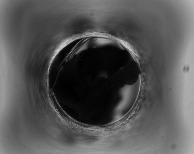 X0000099430008200805161121