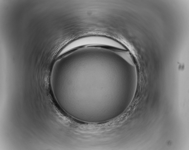 X0000099430009200805161121