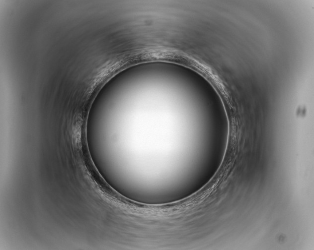 X0000099430010200805161121