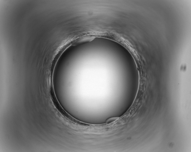 X0000099430011200805161121