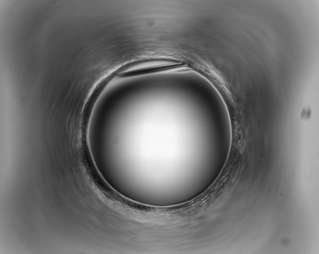 X0000099430012200805161121