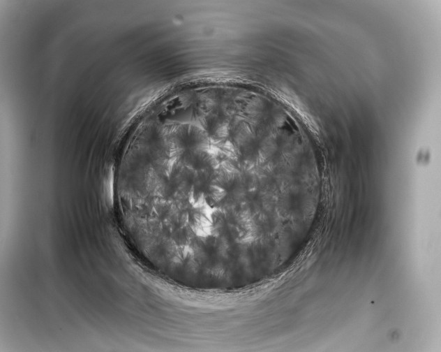 X0000099430014200805161121