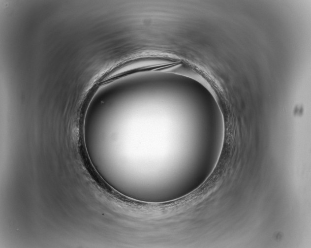 X0000099430015200805161121