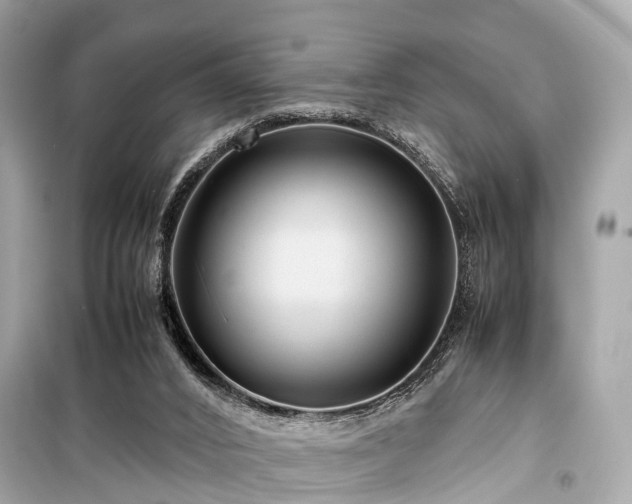 X0000099430016200805161121