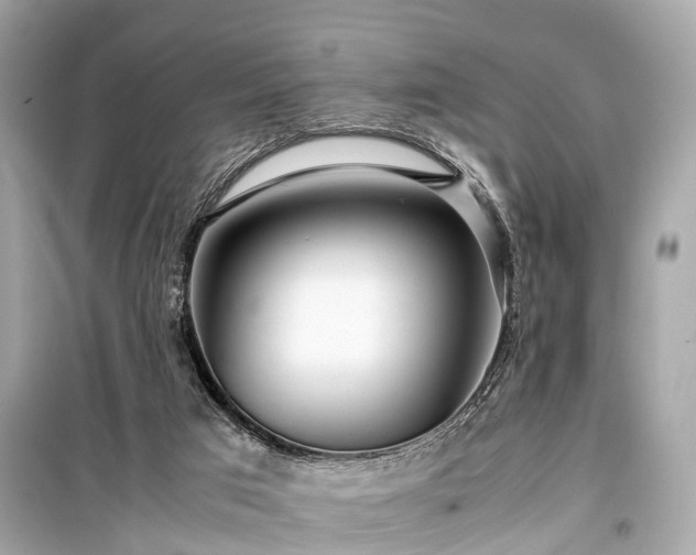 X0000099430017200805161121