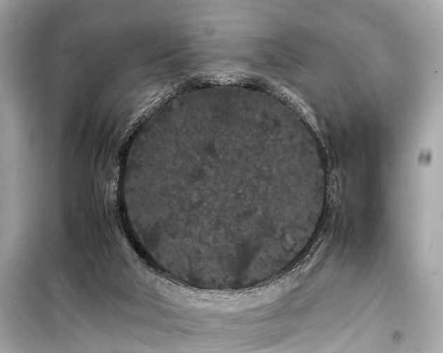 X0000099430018200805161121