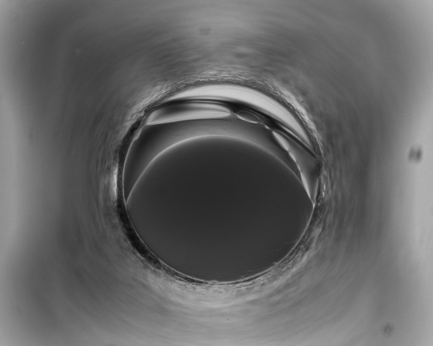X0000099430019200805161121