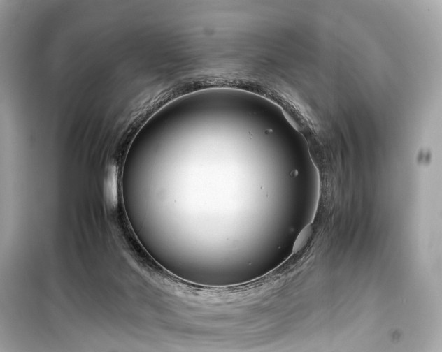 X0000099430022200805161121