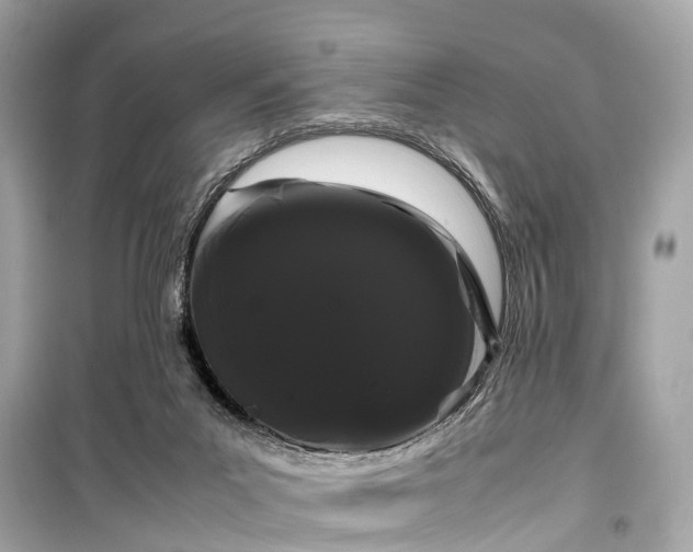 X0000099430023200805161121
