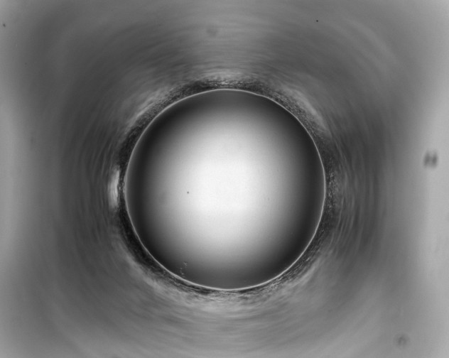 X0000099430024200805161121