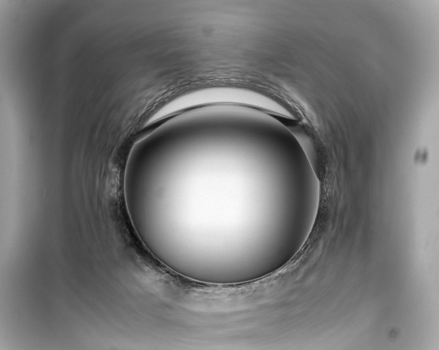 X0000099430025200805161121