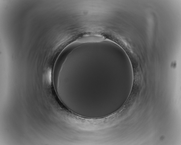X0000099430027200805161121