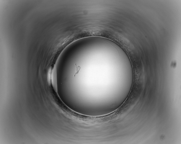 X0000099430028200805161121