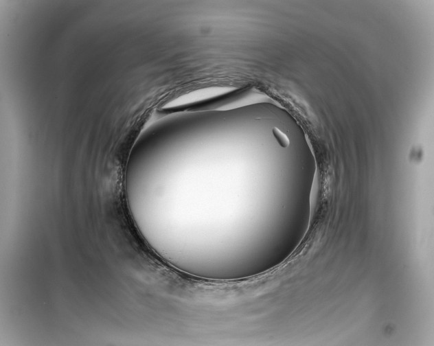 X0000099430029200805161121