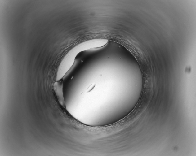 X0000099430030200805161121