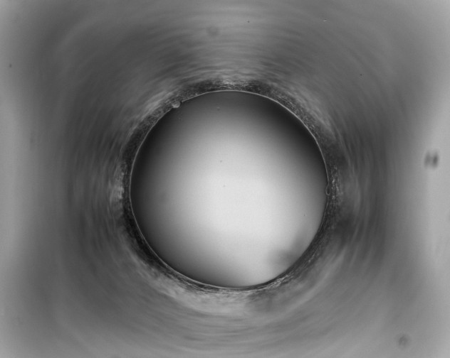 X0000099430032200805161121