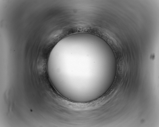 X0000099430034200805161121
