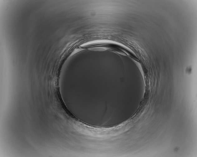 X0000099430035200805161121