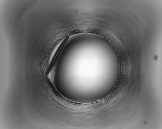 X0000099430036200805161121