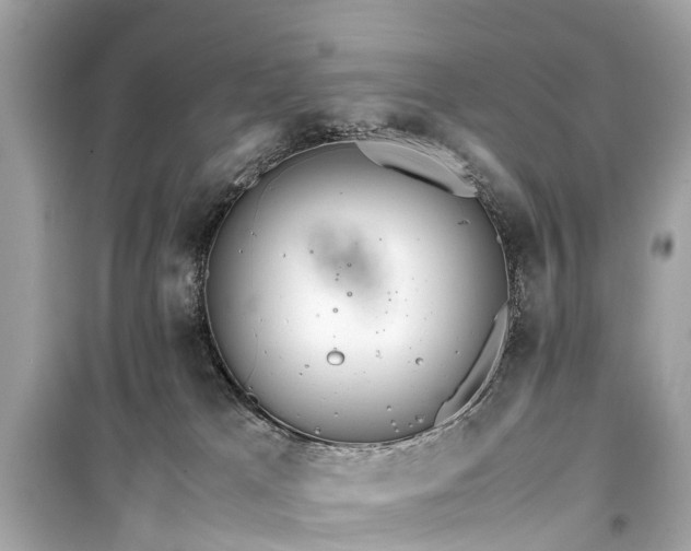 X0000099430037200805161121