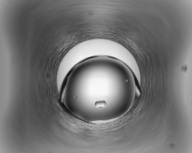 X0000099430039200805161121