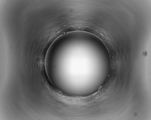 X0000099430040200805161120