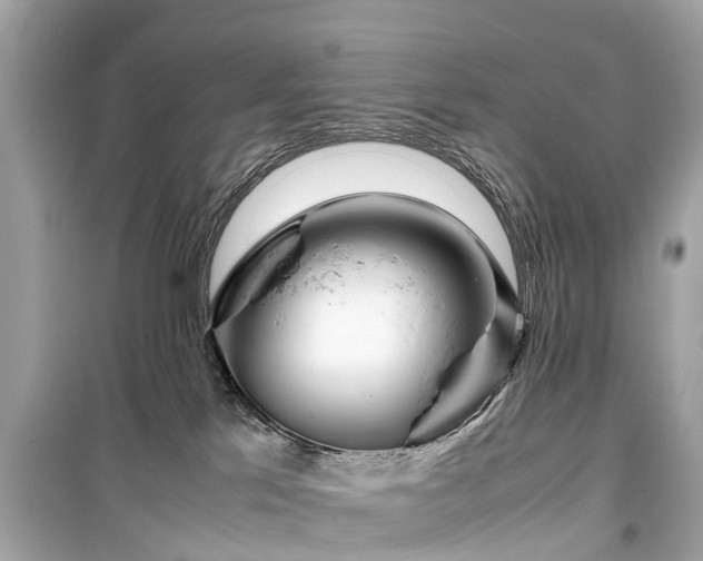 X0000099430041200805161120
