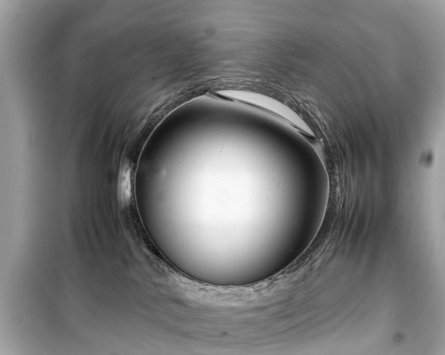 X0000099430042200805161120