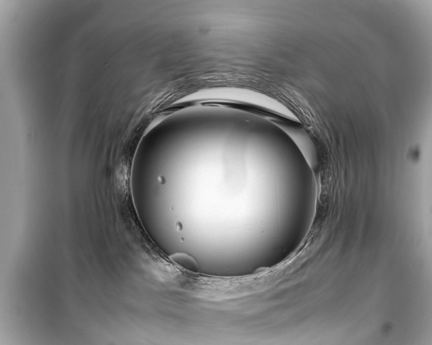X0000099430045200805161120