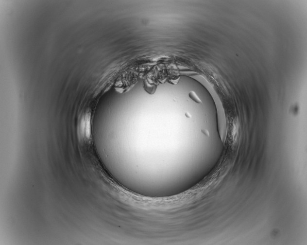 X0000099430046200805161120