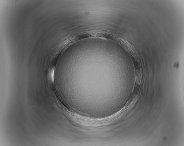 X0000099430047200805161120
