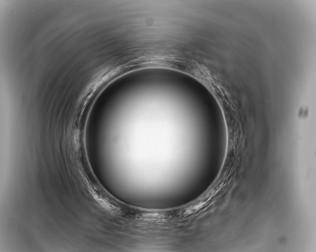 X0000099430050200805161120