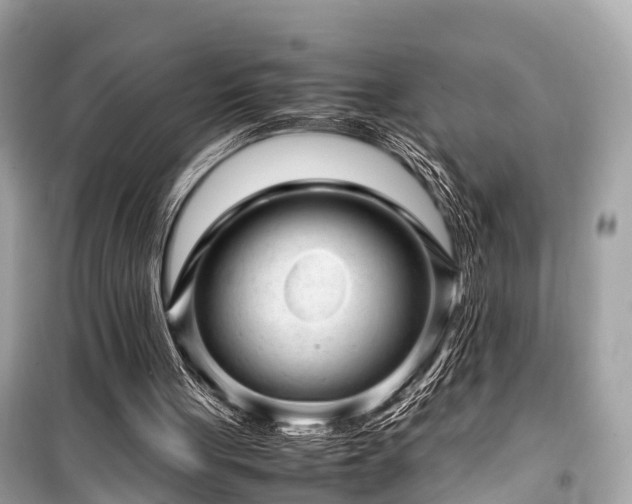 X0000099430051200805161120