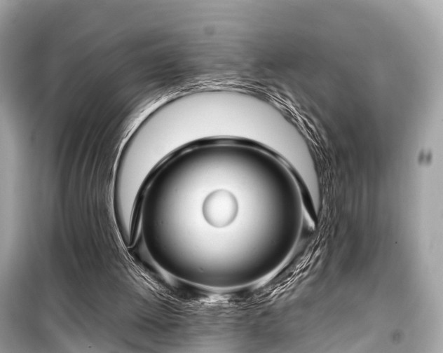 X0000099430052200805161120