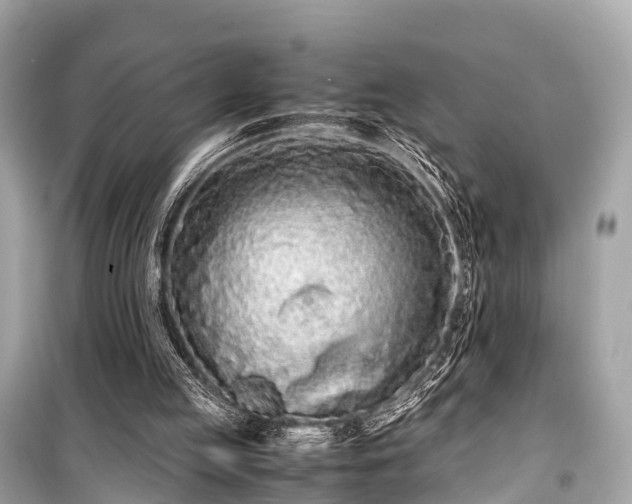 X0000099430053200805161120